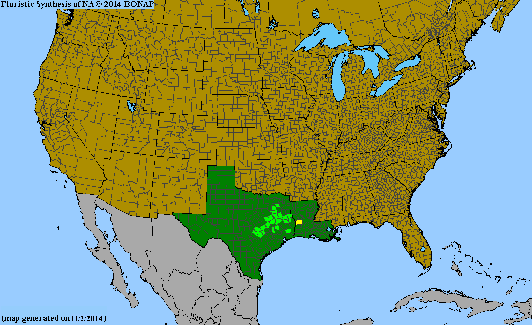 County distribution map of Liatris elegans var. bridgesii - Pink-Scale Gayfeather